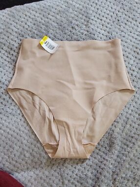 Nwt Miraclesuit High-Waist Shaping Briefs in Nude Medium